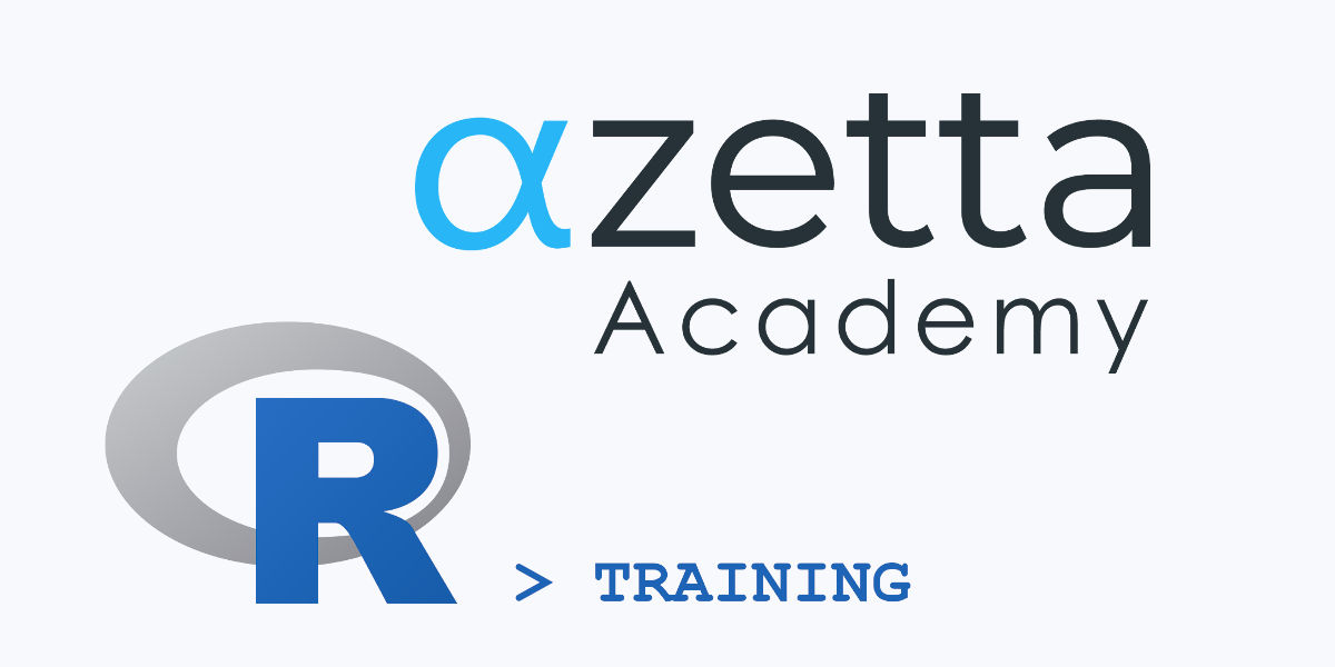 R training course