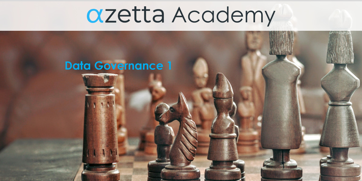 data governance course
